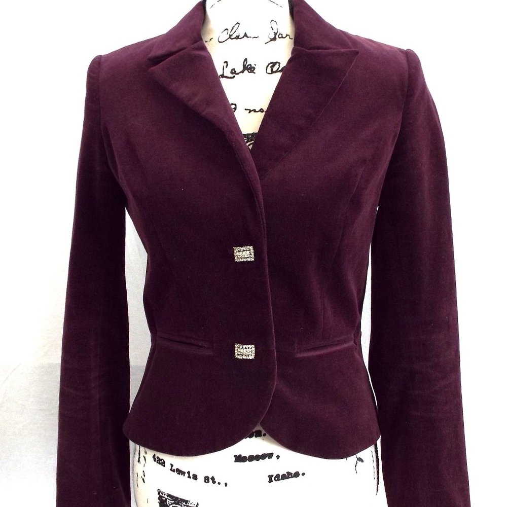 Twelfth Street by Cynthia Vincent Burgandy Velvet Blazer Jacket Size Small